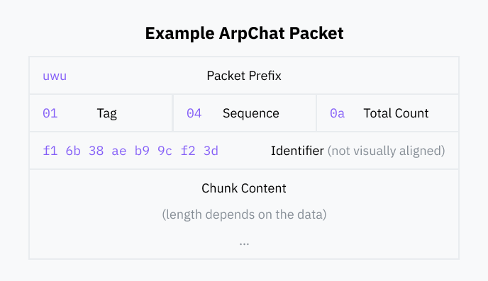 An example ArpChat packet. The packet starts with